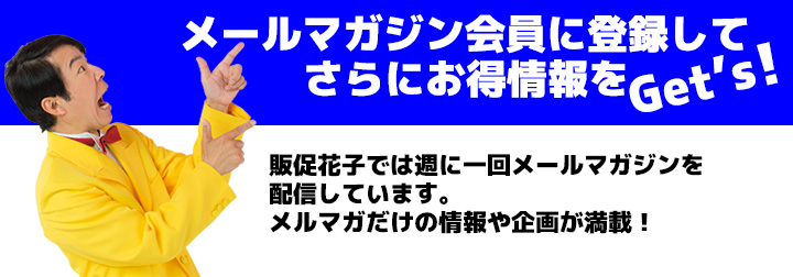 メルマガでさらにお得情報をＧＥＴ’Ｓ